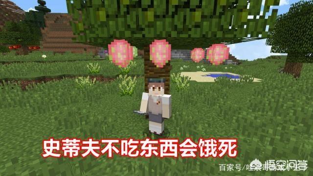 你在Minecraft遇到过哪些奇葩死法？