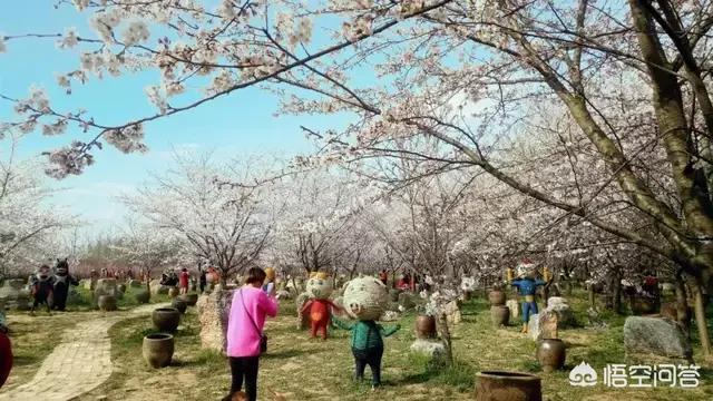 许昌示范区创业家园，河南许昌这个城市怎么样？去许昌好发展吗？求解答？