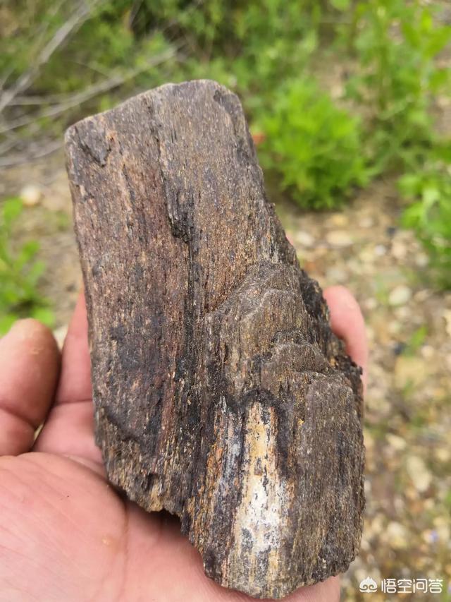 从小到大，你觉得什么东西最好吃，而现在很难吃到？插图2