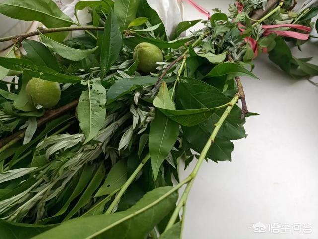 端午，为何说安康不说快乐？