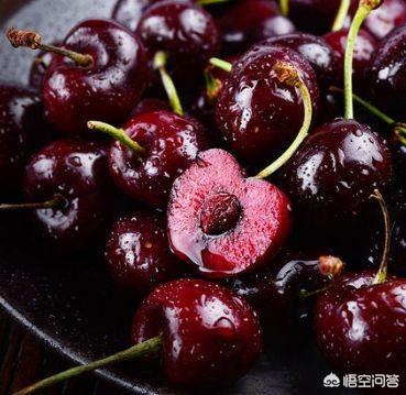 白鹿原樱桃(白鹿原樱桃谷)