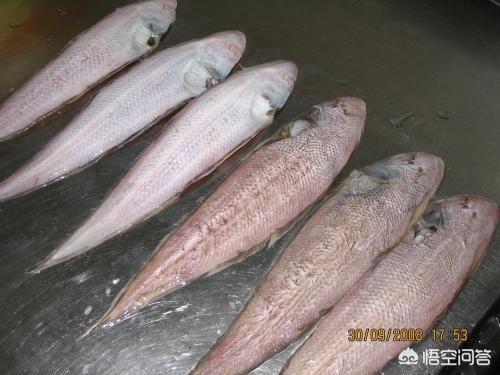 天津红烧鲽鱼的做法:饭店目鱼做法有哪些？怎么做？