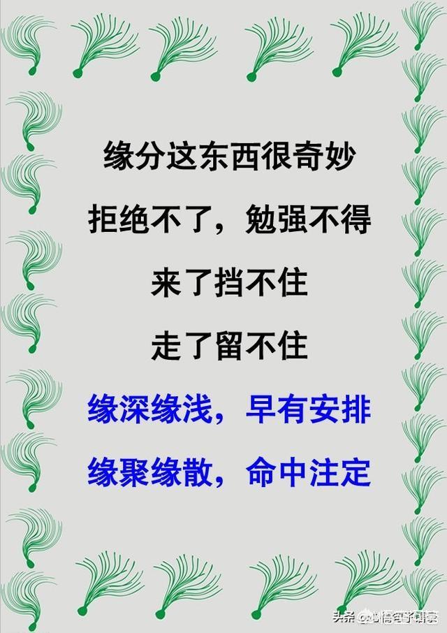 一眼看中的房子是有缘吗,翡翠是靠缘分买的才幸运真是这样的吗？