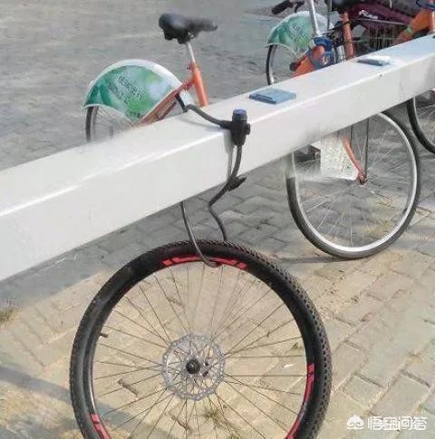 搞笑狗狗罚站视频:有什么让人笑的肚子疼的GIF？ 狗狗视频大全搞笑