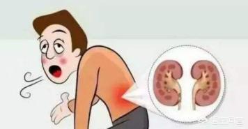 有哪些健康食物适合肾病患者吃？