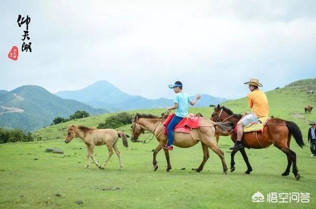 莽山国家森林公园漂流:湖南郴州蟒山旅游景点怎么样？值得一游吗？