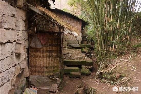 家住农村最近几个月蛇经常出没院子里有什么方法可以预防