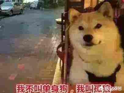 如何用一个表情表达你七夕当天的状态？