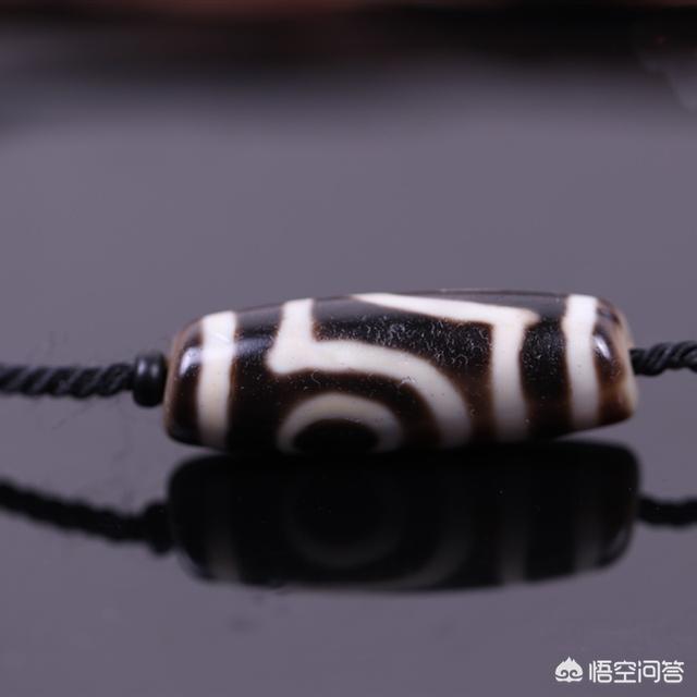 庆阳个人藏獒出售:在农村养殖，养什么才能收获最大利？