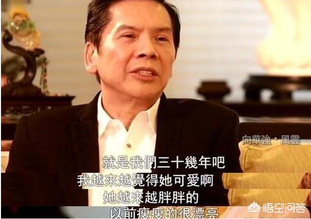 丁佩和向华强:向华强为什么会对陈岚“情有独钟”？