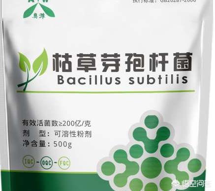 反硝化细菌怎么用于水产:水产养殖中的氨氮问题怎样解决？