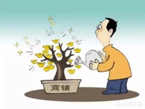悠莉宠物店4免费阅读:五十万存银行和买间小门面年租金18000，该怎么选择？