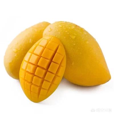 高乐蜜芒果好吃吗，芒果有哪些品种？哪种芒果最好吃？