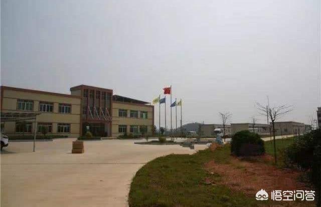 在农村能开什么公司？