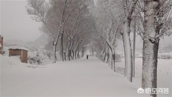 还记得90年代初二的那场大雪吗,一直到现在也没再下过那么大的,有故事和酒吗？