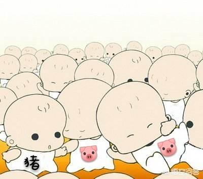 母猪生小孩:为什么说今年是生育高峰年有什么寓意你会选择跟风要孩子吗