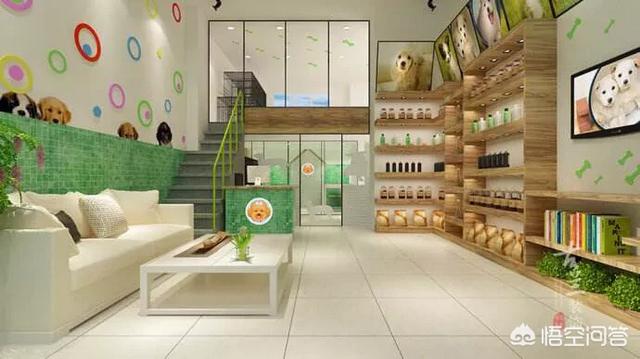 宠物店管理系统介绍:宠物店怎么对员工进行系统的培训？