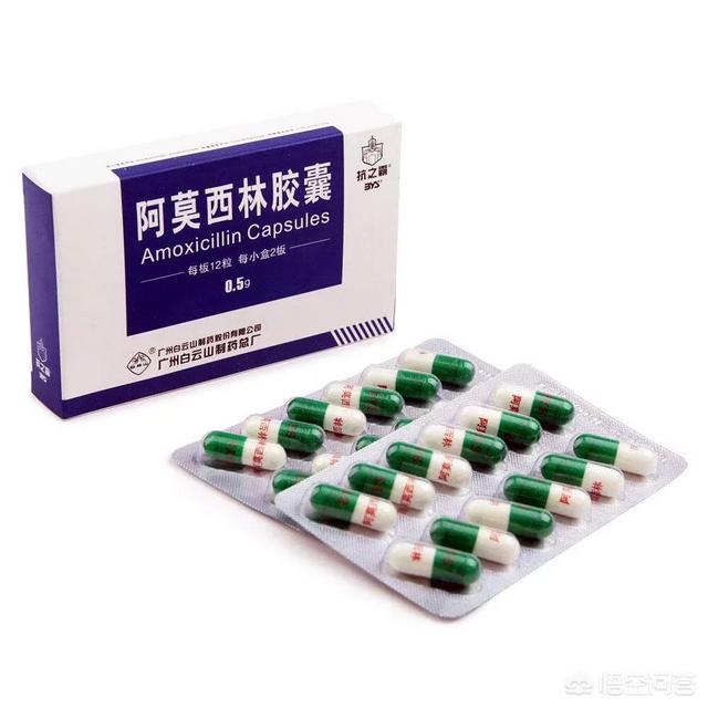 小狗种美丽鲜花系列小游戏:有人说“阿莫西林”可以用来养花，是真的吗？有什么依据？