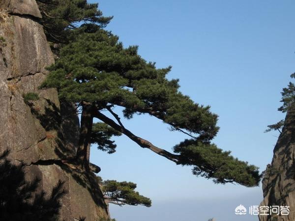 课本封面灵异事件:#说一说你看过精彩恐怖的诡异小说?#？