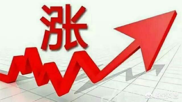 2020年5月份蓝花楹报价多少:6月份已到玉米价格会如何能涨到1.2元吗？