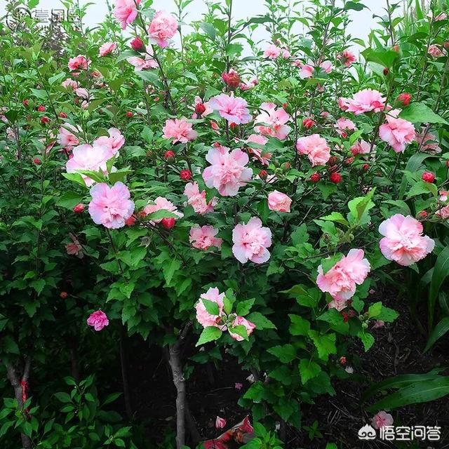 让公婆在家带娃，我出去旅游有错吗？