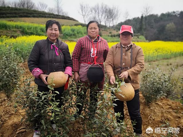 电子商务一般在哪上班，电子商务以后可以做什么工作