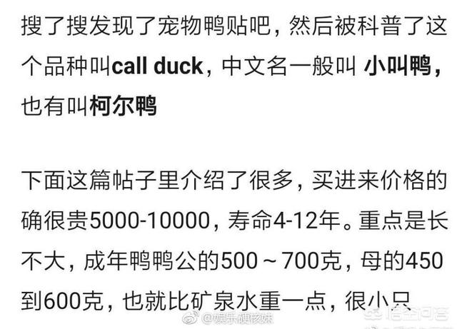 带宠物鸭扫大街:如何看待有些遛狗的人让狗狗在路边随意大小便？