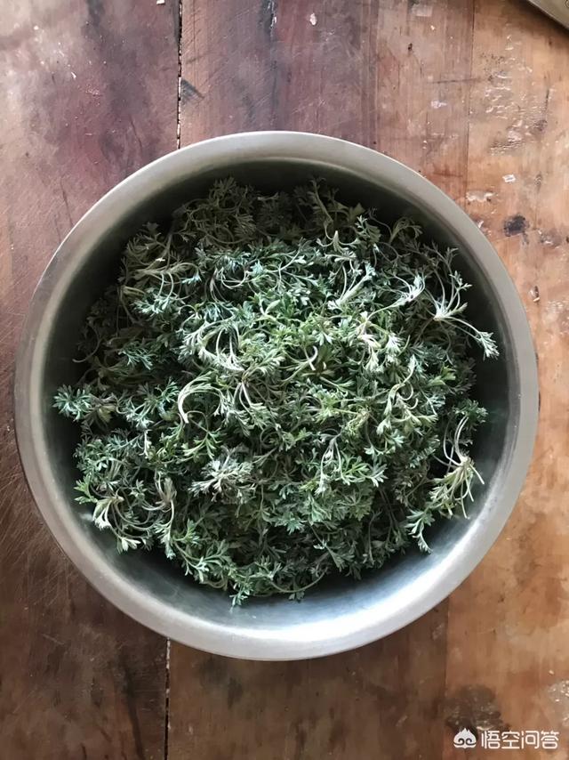 春天到了,乡下都有哪些常见野菜可以采挖,口感和作用都有哪些？
