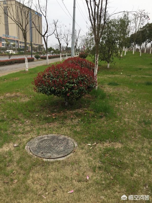 乐果农药的残留期长吗:乐果农药残留多久 农产品味道变差是使用农药化肥造成的吗？