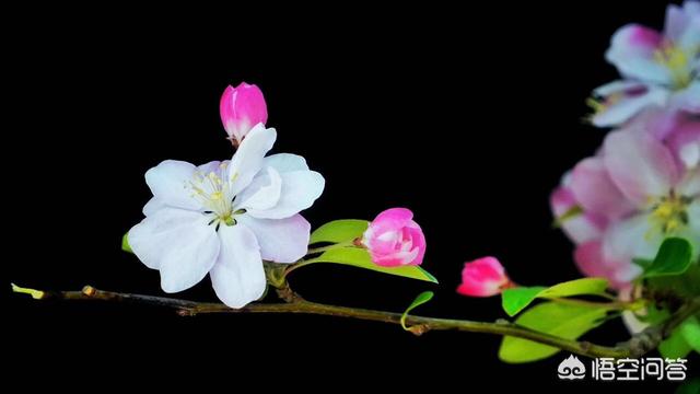 做玉石生意怎么入门,如何做一个真正的玉器商人？