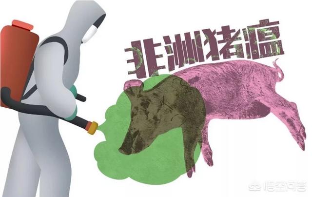中国畜牧狼才网:中国畜牧网最新消息 乡镇畜牧发展服务中心怎样改革？