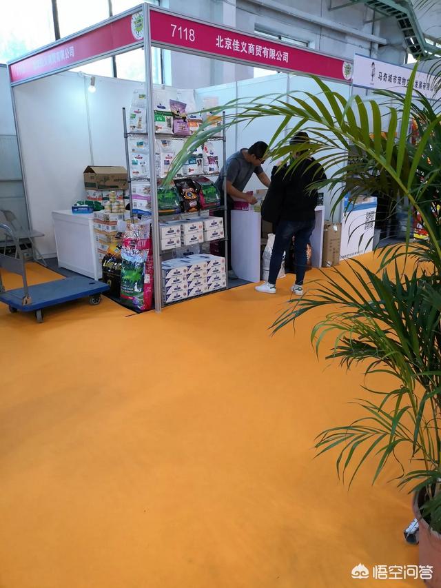 2019年亚洲宠物展展商:又是一年萌宠季，如何搞定深宠展？