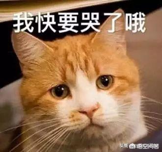 《夏目友人帐》明明是温暖治愈系的动漫,为什么越看越忧伤？