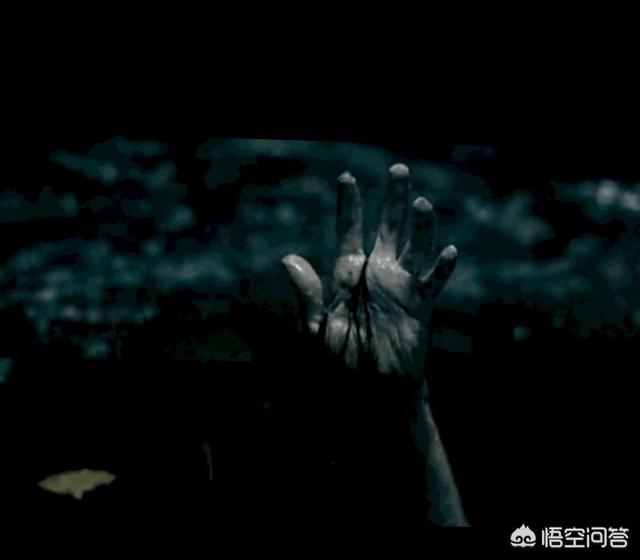 你读到过最精彩的故事是什么？