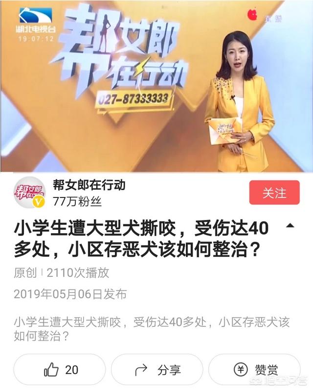 利辛有养狗的吗罗威那狗的吗:农村人差不多家家都养狗，你知道为什么吗？