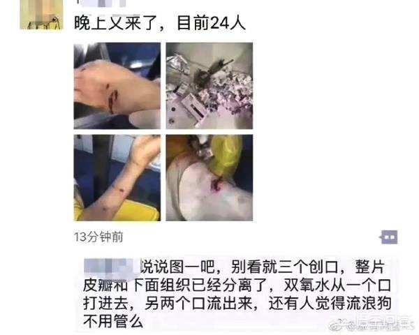 深圳流浪狗驿站虐狗:如何评价准研究生虐狗事件？会被判刑吗？