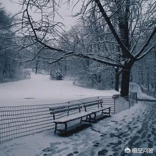 马丽升级当妈:如何看待与何猷君刚结婚3个月，奚梦瑶就升级当妈了？
