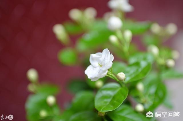 有什么歌好听的:最近比较好听的歌有哪些？