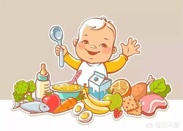 十个月宝宝一天怎么安排饮食？