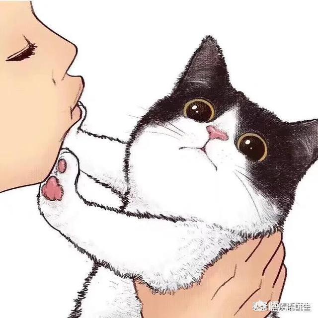 解直锟的婚史:没有感情的婚烟该何去何从？