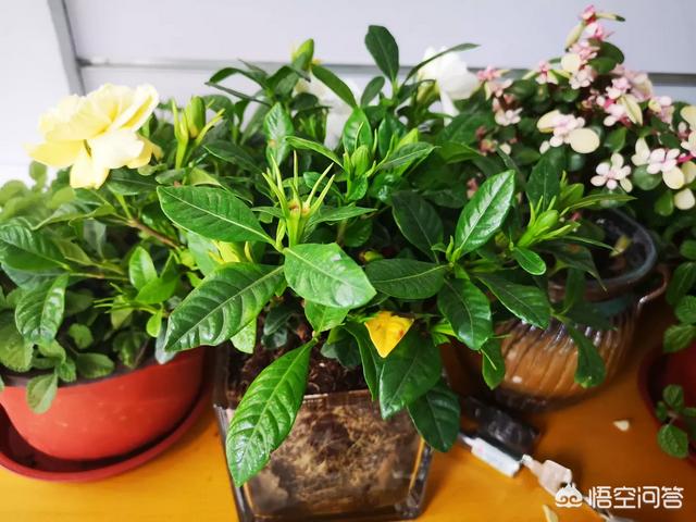 一个离婚的女人无依无靠,没房没存款没工作经验,该怎么办？