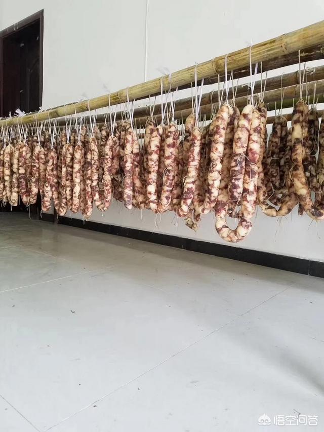 乐狗:蜀南竹海竹海风情农家乐请问店家可以带宠物狗吗？