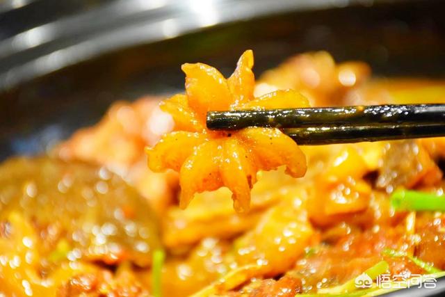 水鱼图片:请问高手钓甲鱼，诱饵怎么配？