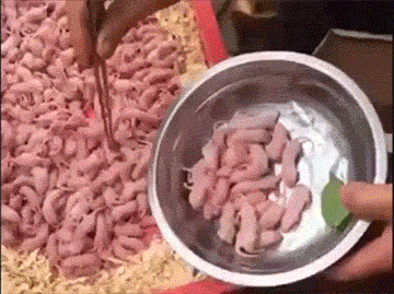 听说有些地方人爱吃耗子肉,是真的吗？是哪里人啊？
