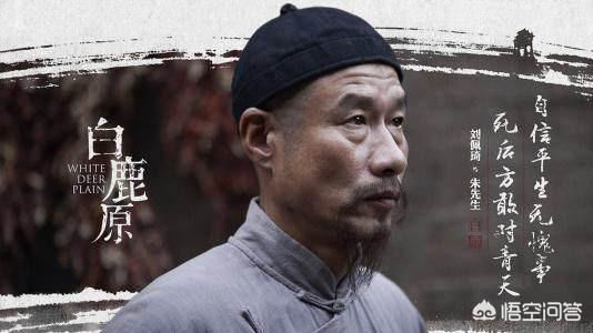 在《白鹿原》中,朱先生真的是白鹿的化身吗？