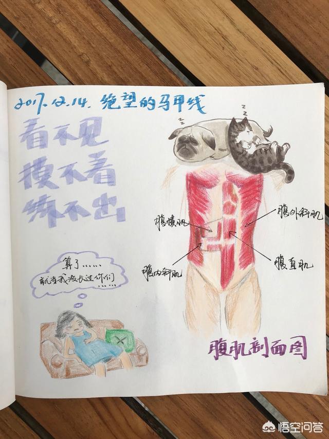 减小腹什么运动最棒？