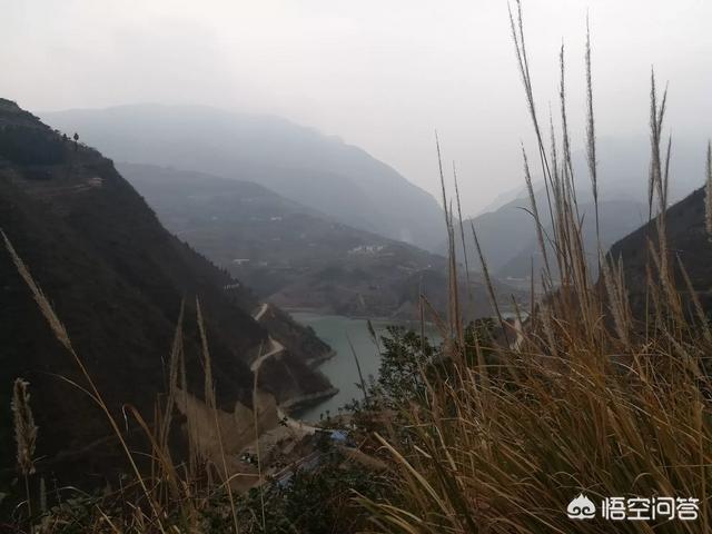 哥伦比亚盆地侏儒兔已经灭绝:韩信和诸葛亮都提十万兵马出川，为何韩能扫平天下而诸一事无成？