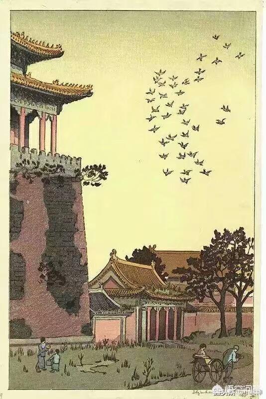 什么动物无影子？