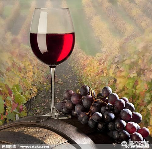 红酒的了解，红酒或葡萄酒对人体健康的优缺点有哪些