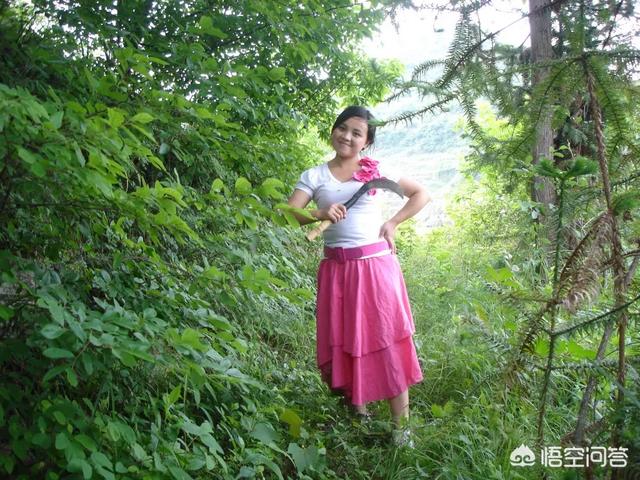 樱桃树干留焦十大名狗怎么治:樱桃树干长的小白点怎么治 樱桃树被红蜘蛛危害，大部分叶片干枯，如何挽救？